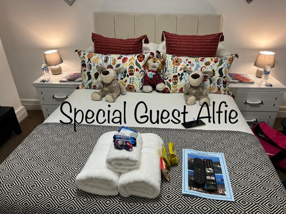 Loughview Bed & Breakfast Belfast Dış mekan fotoğraf
