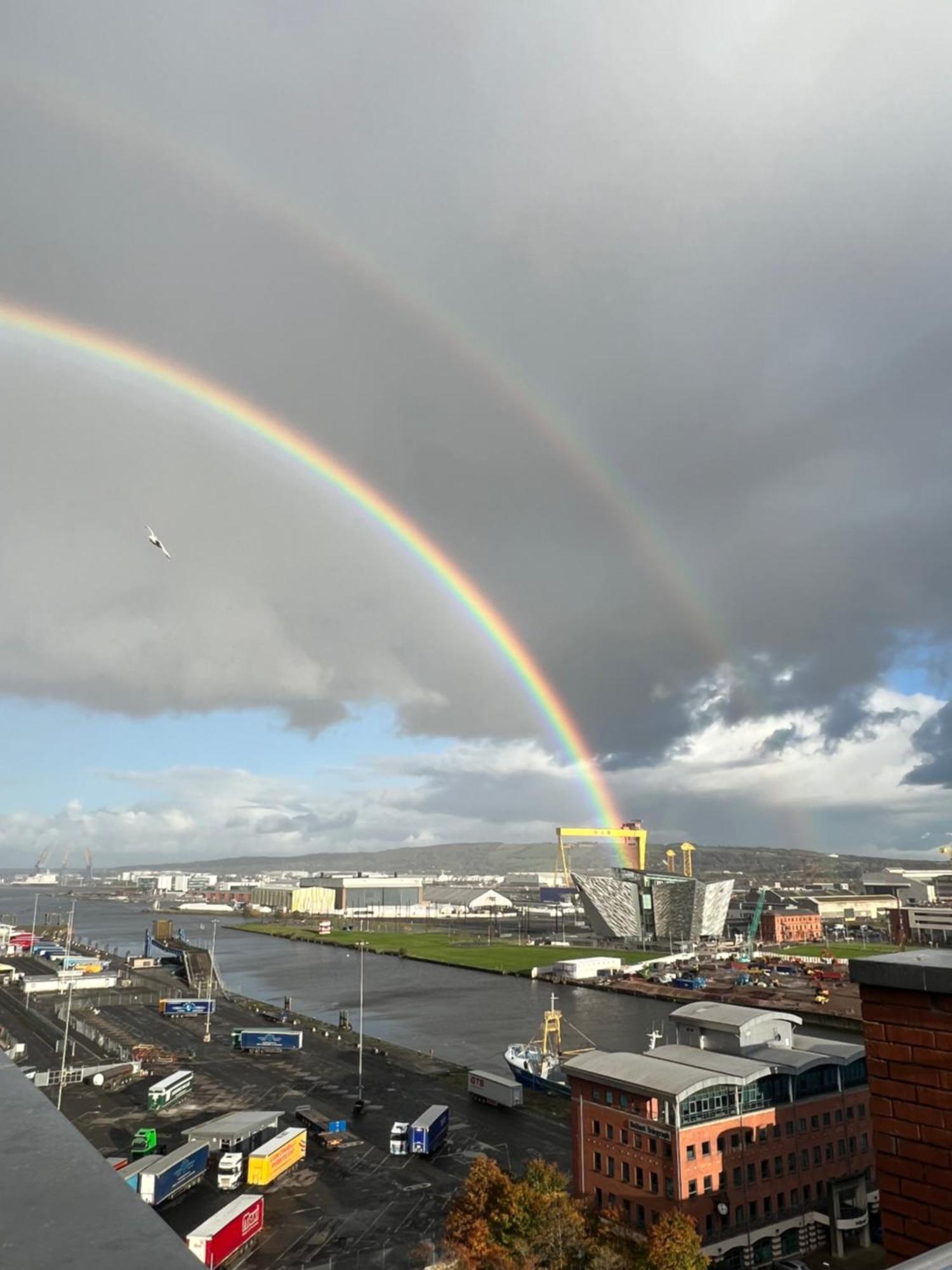 Loughview Bed & Breakfast Belfast Dış mekan fotoğraf